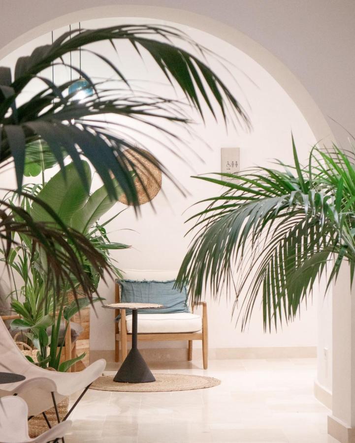מדריד Casa Du Soleil Hostal Boutique מראה חיצוני תמונה